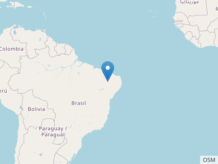 Locations where Irritator fossils were found.